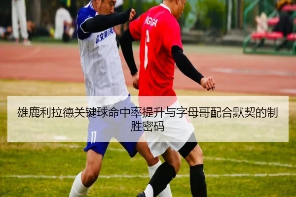 雄鹿利拉德关键球命中率提升与字母哥配合默契的制胜密码